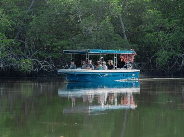 Discover Tamarindo – Jungle Boat Tour