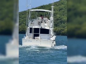 A boat named 'Sin Priza' cruises through vibrant waters, showcasing a scenic backdrop of lush greenery — perfect for exploring the beautiful coastlines of Fajardo, PR.