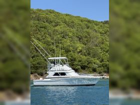 A sleek yacht cruising through clear waters, showcasing its elegant design against a lush green backdrop — perfect for fishing trips or leisurely outings.