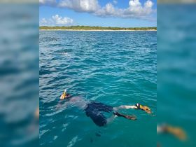 A snorkeler enjoys the vibrant underwater world in crystal-clear waters, showcasing the beauty of marine life and the excitement of ocean adventures.