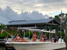 A lively group of friends celebrates on a boat, waving American flags and enjoying their time on the water — perfect for summer outings and festive gatherings.