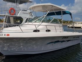 A clear view of a Proline boat docked at the marina, showcasing its sleek design and structure, perfect for fishing or leisure outings.