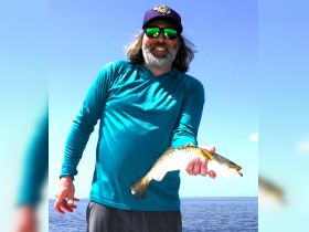Trout love flies and artificials