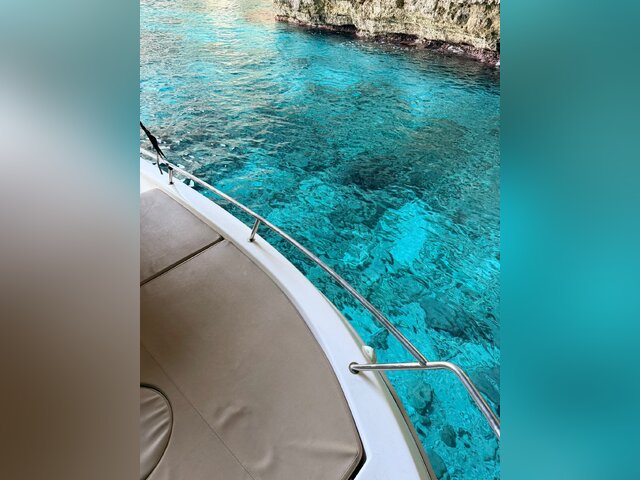 Listing image 1180878