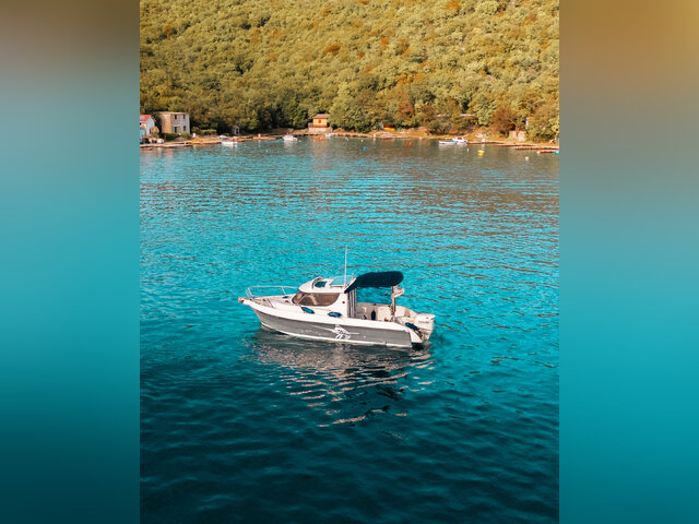 Listing image 1097834
