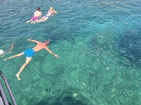 A group enjoys snorkeling in crystal-clear waters, surrounded by schools of fish — a perfect adventure for marine life enthusiasts.