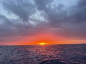 A stunning sunset over the ocean, casting vibrant colors across the sky and water — a perfect backdrop for evening boat cruises.