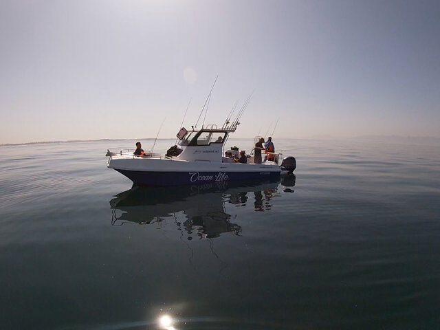 Listing image 1097968
