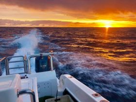 Charter Image