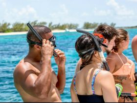 A group prepares for an exciting snorkeling adventure in crystal-clear waters, showcasing the thrill of exploring underwater life in a tropical paradise.