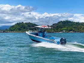 A speedboat navigates through the vibrant waters, showcasing its sleek design and powerful performance against a scenic backdrop of lush hills.