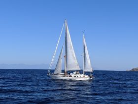 A beautiful sailboat glides through calm waters under a clear blue sky, showcasing the elegance of sailing adventures.