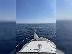 A woman stands gracefully at the bow of a yacht, gazing out over the serene ocean waters — a perfect moment for relaxation and scenic views on the water.
