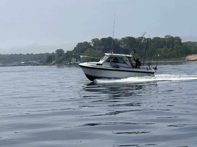 Listing image 1098568