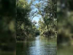 A serene view of a winding river surrounded by lush greenery, perfect for nature lovers and tranquil boat trips.