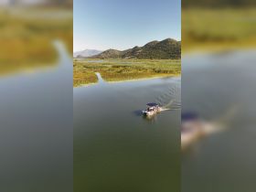 A scenic view of a boat cruising through tranquil waters surrounded by lush greenery and mountains, perfect for exploring nature and enjoying outdoor adventures.