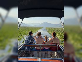 A family enjoys a scenic boat ride through a lily-covered lake, surrounded by stunning mountains — a perfect getaway for nature lovers.