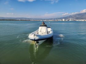 A speedboat glides through calm waters with a captain at the helm, showcasing the vessel's sleek design against a scenic backdrop.
