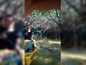 A group enjoys an adventurous kayaking trip through a mangrove forest, showcasing the beauty of nature and outdoor exploration.
