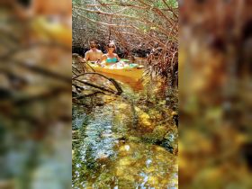 A couple enjoys kayaking through a serene mangrove environment, showcasing the beauty of nature and adventure on the water.