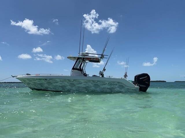 Listing image 1103069
