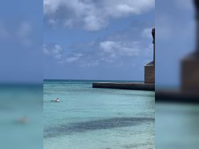 A swimmer enjoys the clear turquoise waters near a scenic beach, perfect for a relaxing day in the sun.