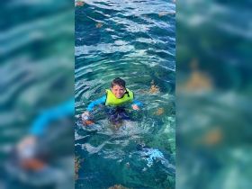 A young boy enjoys swimming in crystal-clear waters, showcasing a fun and adventurous day in nature — perfect for family outings and aquatic exploration.