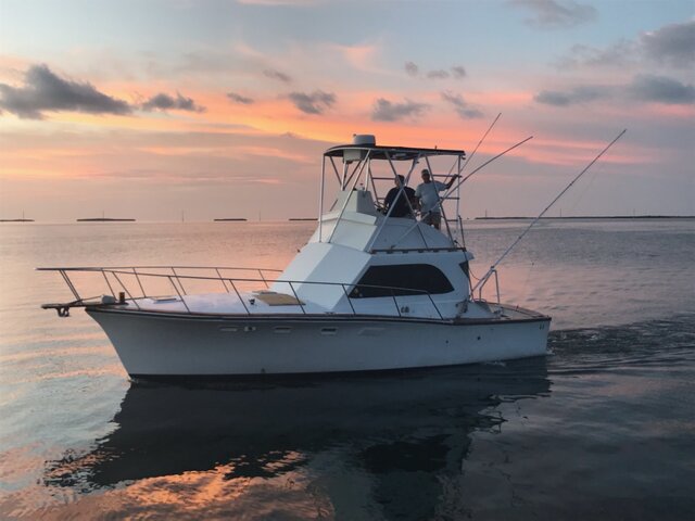 Listing image 1099357