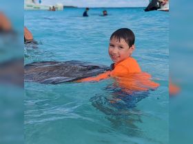 A young boy joyfully interacts with a stingray in shallow turquoise waters, showcasing a memorable wildlife experience in a tropical setting.