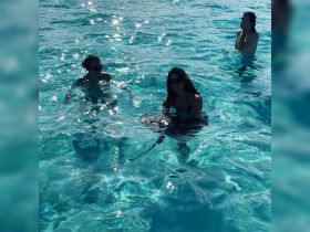 Guests interact with a stingray in crystal-clear waters, showcasing a unique wildlife experience perfect for adventurous outings.