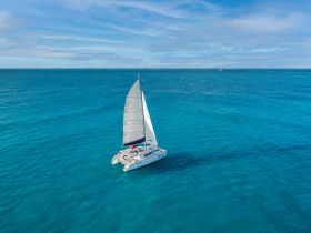 A stunning aerial view of a catamaran sailing through crystal-clear turquoise waters, perfect for showcasing the beauty of sailing adventures.