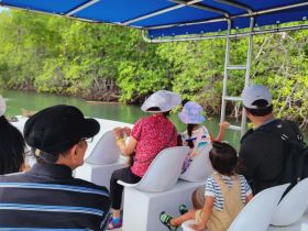 A family enjoys a scenic boat ride through mangroves, with children eagerly observing the surroundings — a perfect adventure for nature lovers.
