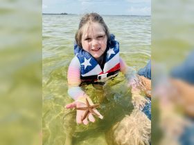 A young girl in a life jacket holds a starfish while enjoying a day in the water, showcasing a delightful interaction with marine wildlife.