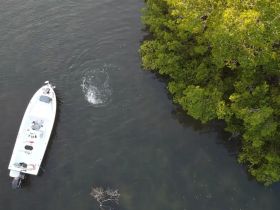 Charter Image
