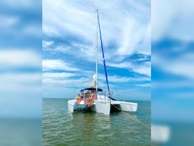 A joyful group of friends enjoys a sunny day on a catamaran, creating unforgettable memories while relaxing on the water.