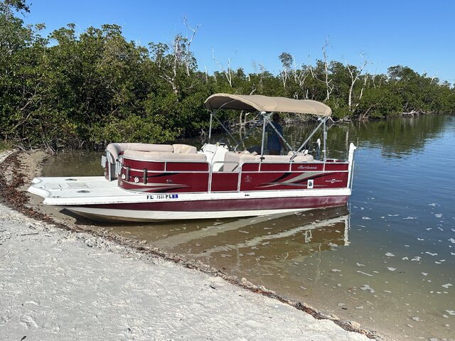 Listing image 1122074