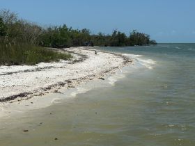 A serene view of a sandy beach and lush greenery along the coastline, perfect for exploring nature and enjoying the tranquility of the outdoors.