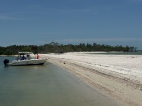 A group of friends enjoys a sandbar stop on a sunny day, with their boat anchored near a pristine beach — perfect for relaxation and fun in the sun.