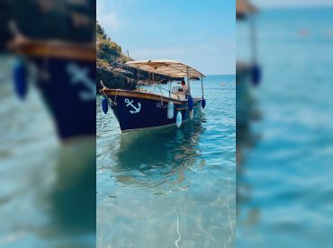 Fikret Losic Tours