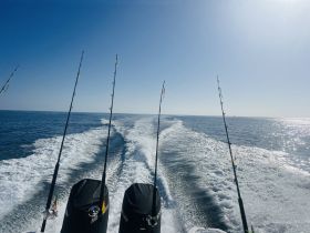 A scenic view from the back of a fishing boat, showcasing fishing rods against a backdrop of calm ocean waters — perfect for a day of fishing adventures.