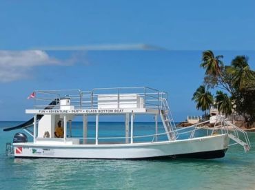Glass Bottom Boat With Slide & Dive Platform