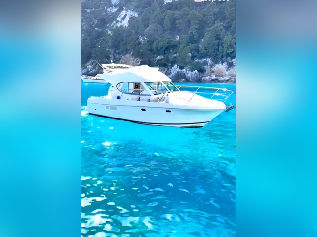 Listing image 1153205