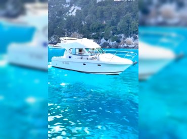 Charter & Villas