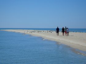 A group of friends strolls along a picturesque sandbar, enjoying the serene beach atmosphere and stunning ocean views.