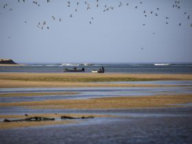 A serene beach scene featuring fishermen in small boats, surrounded by flocks of birds soaring overhead — a picturesque moment capturing the essence of coastal life.