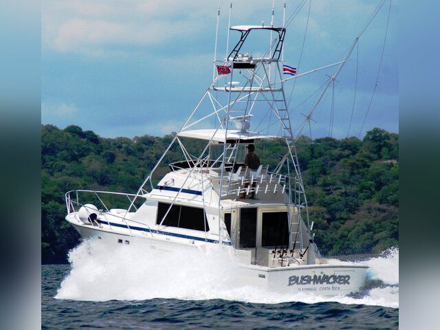 Listing image 1103921