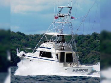Bushwacker