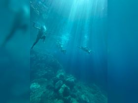 A group of snorkelers explores the vibrant underwater world, illuminated by beams of sunlight filtering through the water — a perfect adventure for marine enthusiasts.