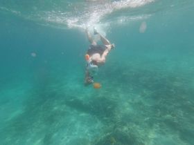 A snorkeler explores the vibrant underwater world, capturing the beauty of marine life in crystal-clear waters — an unforgettable adventure for ocean enthusiasts.