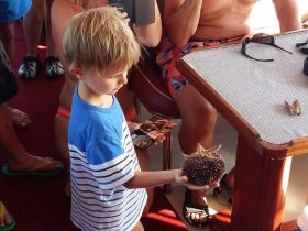 A young child holds a sea urchin while surrounded by adults, showcasing a fun and educational marine interaction on a boat.